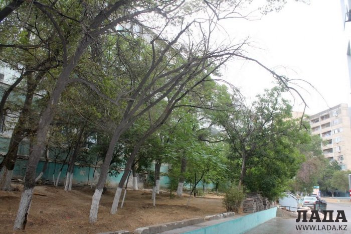 Полив по факту: Исполнение графика в Актау 29 июня