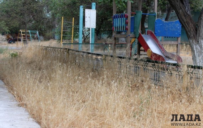 Полив по факту: Исполнение графика в Актау 29 июня