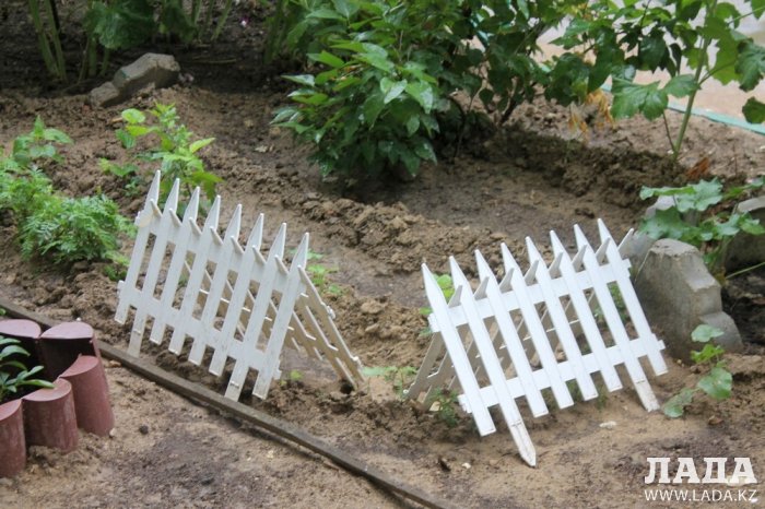 Полив по факту: Исполнение графика в Актау 29 июня