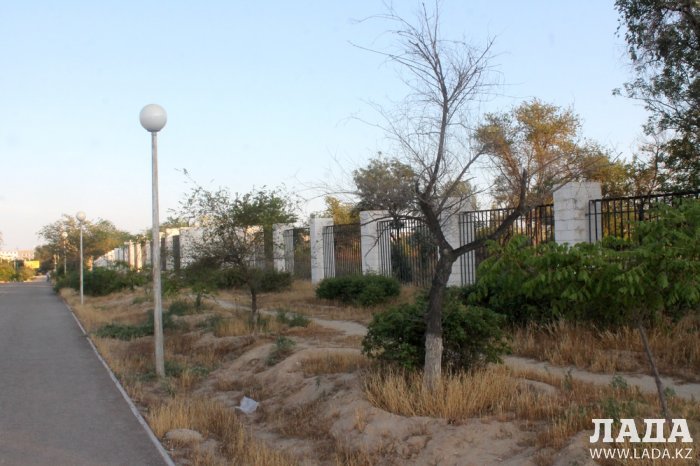 Издевательский полив: Состояние зеленых насаждений по периметру ботанического сада Актау. Фоторепортаж