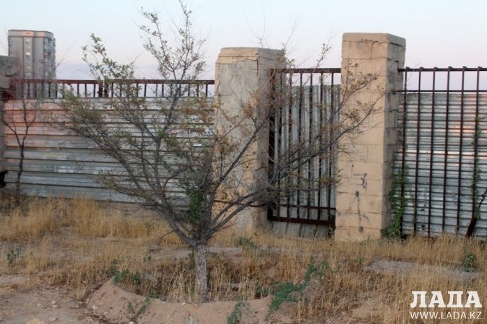 Издевательский полив: Состояние зеленых насаждений по периметру ботанического сада Актау. Фоторепортаж