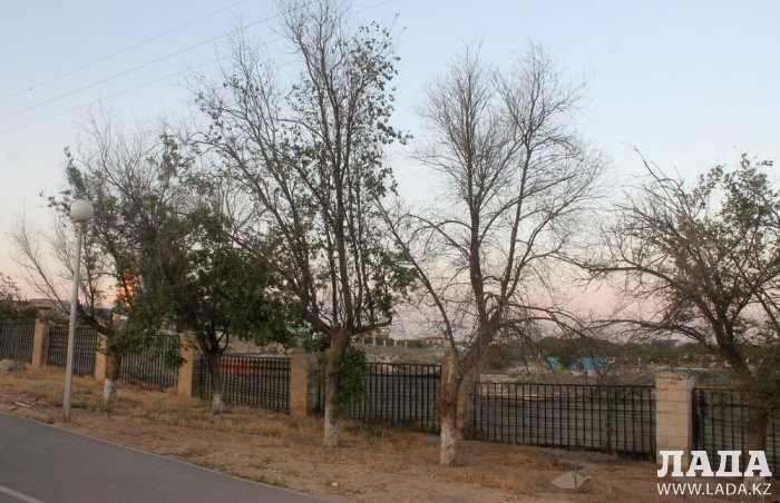 Издевательский полив: Состояние зеленых насаждений по периметру ботанического сада Актау. Фоторепортаж