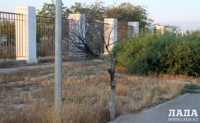 Издевательский полив: Состояние зеленых насаждений по периметру ботанического сада Актау. Фоторепортаж