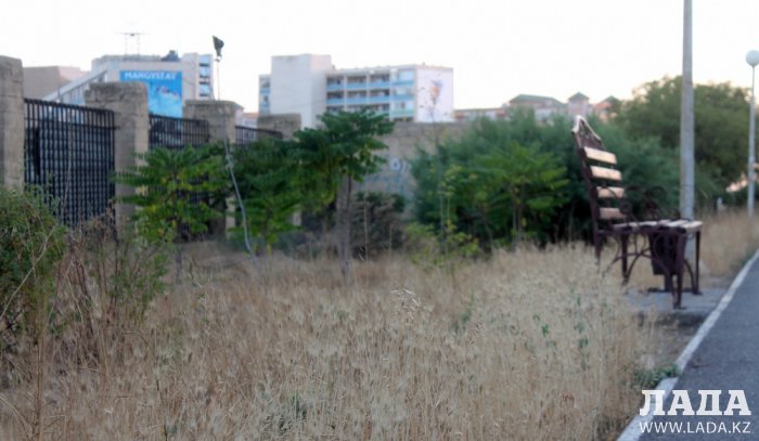 Издевательский полив: Состояние зеленых насаждений по периметру ботанического сада Актау. Фоторепортаж