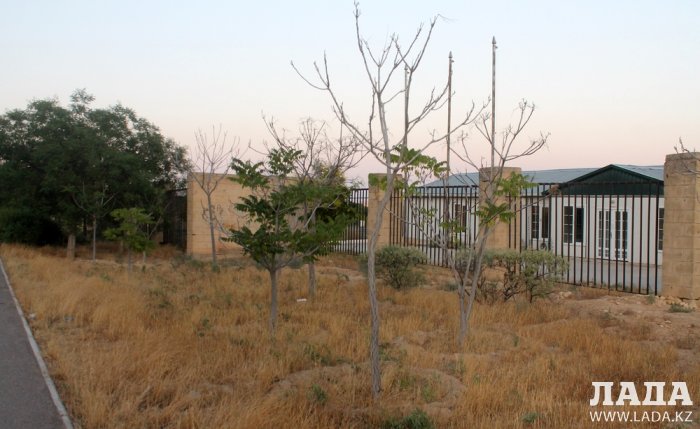 Издевательский полив: Состояние зеленых насаждений по периметру ботанического сада Актау. Фоторепортаж