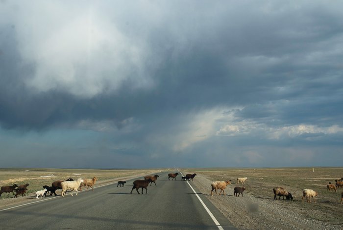 Автопутешествие и приключения: Москвичи поделились впечатлениями о поездке в Мангистау