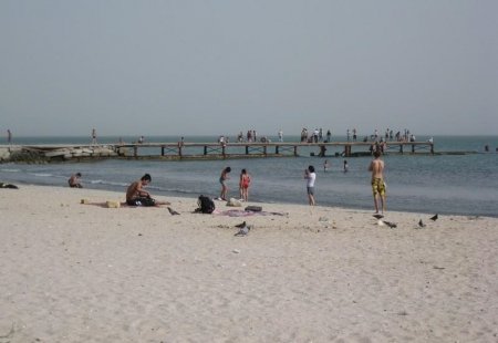Не садись на песок: Вызывающую у человека газовую гангрену бактерию обнаружили на пляжах Актау