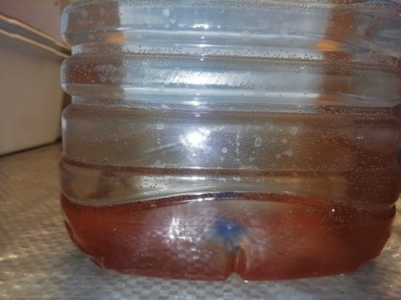 Красная вода в осетровой лагуне напугала жителей Актау