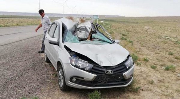 При столкновении автомобиля с верблюдом в Мангистау пострадали три человека