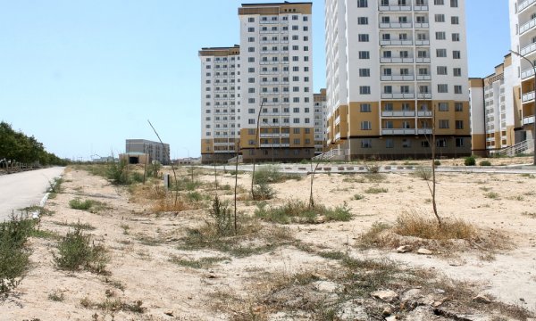 В степи живем: Как выглядит аллея в честь 25-летия «Казпочты» в Актау