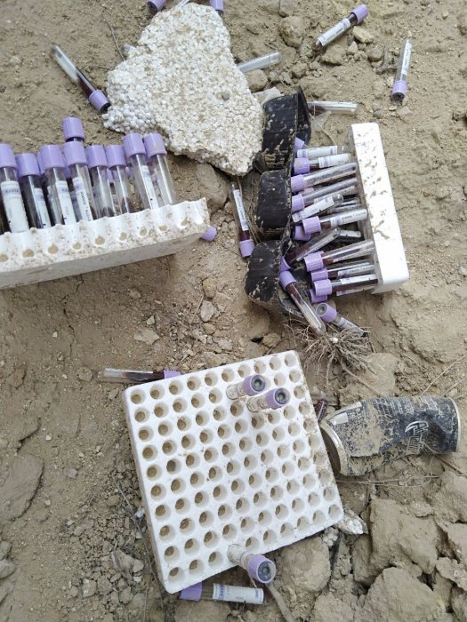 Жители Актау обнаружили свалку лабораторных пробирок с кровью