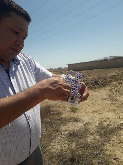 В Актау проведут расследование по факту свалки медицинских отходов