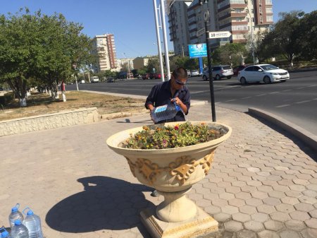 А вы что подумали? Воду на кольцевой у площади «Ынтымак» набирают для полива