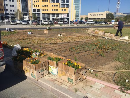 А вы что подумали? Воду на кольцевой у площади «Ынтымак» набирают для полива