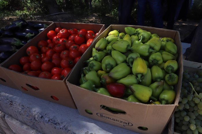 В Мангистау  из зарубежья завезут пять тысяч коров породы Ангус