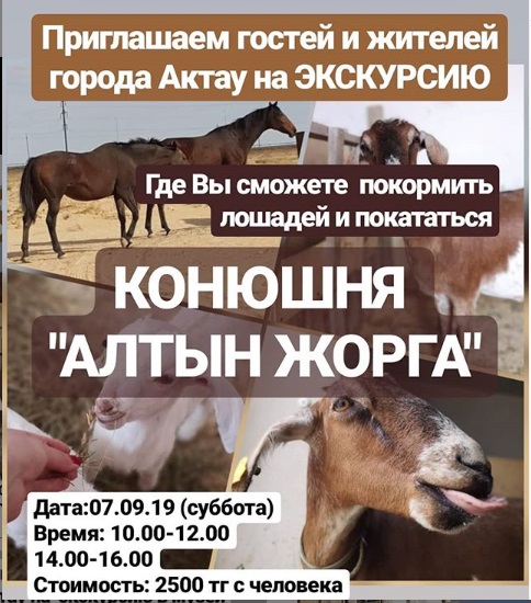 Как провести ближайшие выходные в Актау