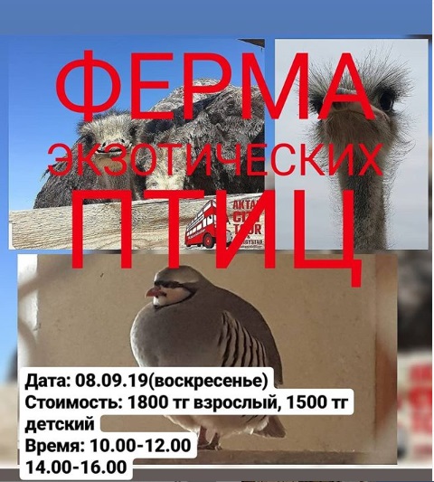 Как провести ближайшие выходные в Актау