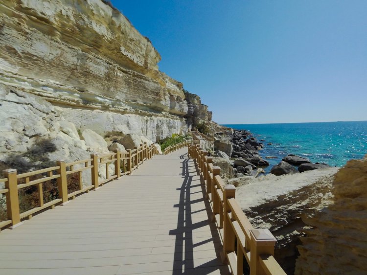 Компания NCOC презентовала необычный инфраструктурный проект в Актау