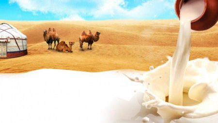 Сухое верблюжье молоко из Казахстана будут поставлять на рынки Китая