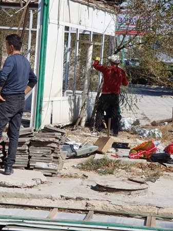 Рубка деревьев