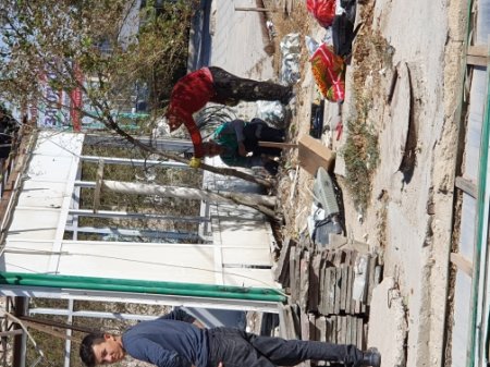 Рубка деревьев