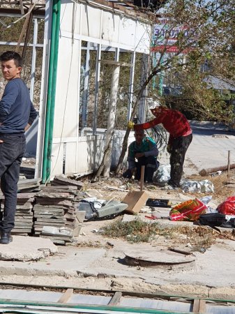 Рубка деревьев