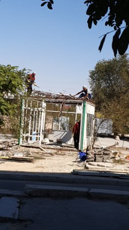 Рубка деревьев