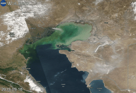 Жители Актау жалуются на запах гари в воздухе