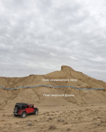 Степь Юрского периода: Удивительное место нашёл палеонтолог-любитель из Актау