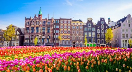 Амстердам введет самый большой налог на туристов в Европе