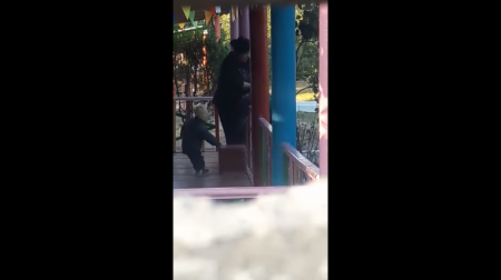 Воспитатель подвесила ребенка через перила в Таразе: видео изучают в полиции