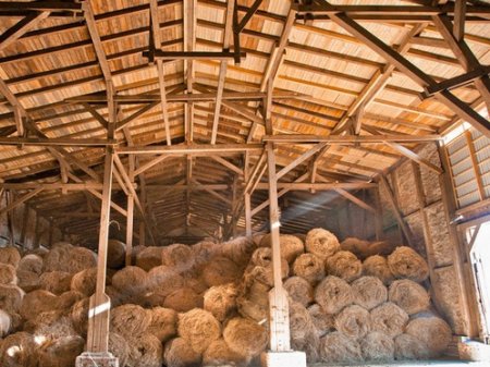 Муляжи сена вместо запасов зерна обнаружили на складе в Восточном Казахстане