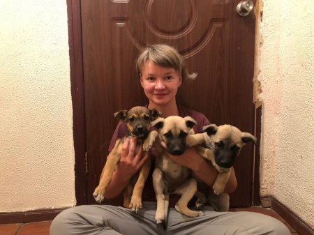 Иностранные туристы просят мангистаусцев помочь бездомным щенятам