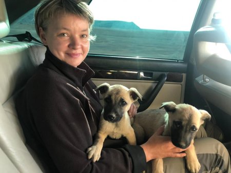 Иностранные туристы просят мангистаусцев помочь бездомным щенятам