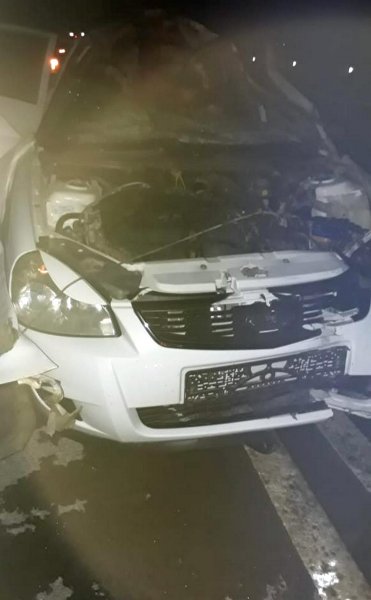 Водитель пострадал в ДТП с лошадью в Мангистау