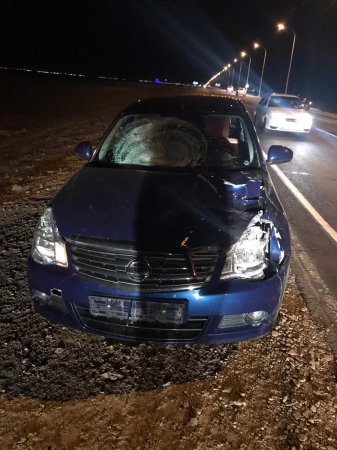 Авария с участием лошади произошла в Мангистау