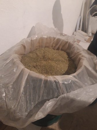 Бочку с марихуаной обнаружили полицейские Актау