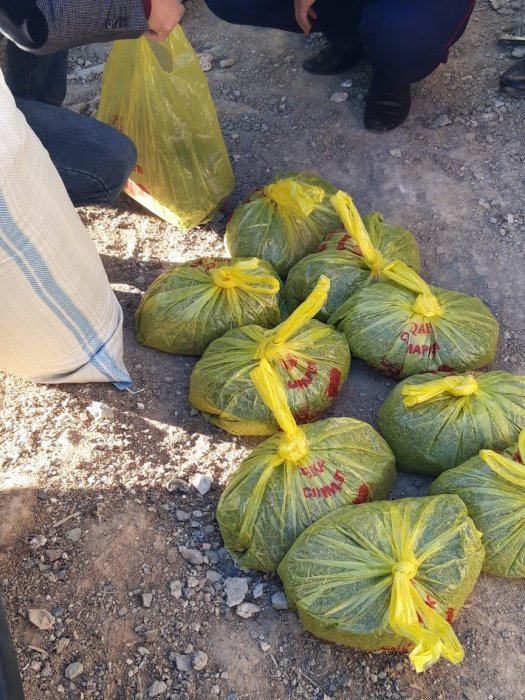 В Жанаозене изъяли крупную партию марихуаны