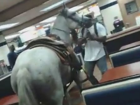Въехавшего на лошади в кафе "всадника" арестовали в Алматинской области