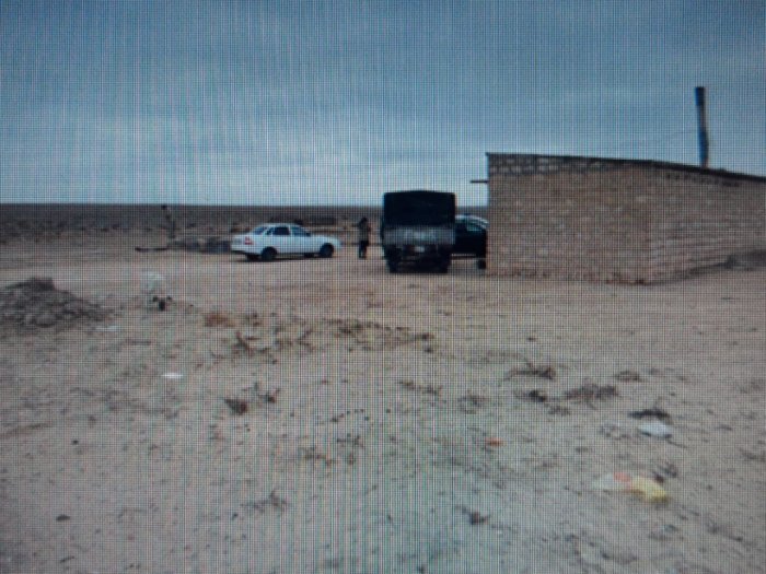 Мангистауские полицейские задержали скотокрадов