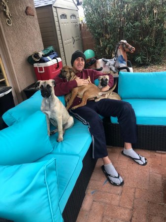 Туризм-альтруизм: Брошенных в Мангистау щенят увезли в США