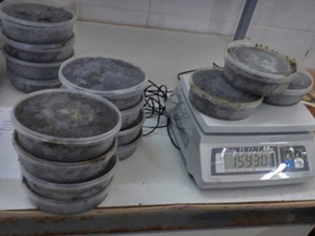 Браконьеров, промышлявших продажей черной икры, задержали в Атырау
