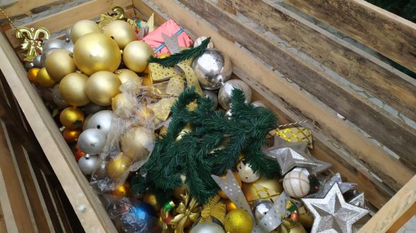 В Актау начали устанавливать новогодние ёлки