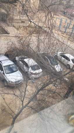 Дерево упало на машину