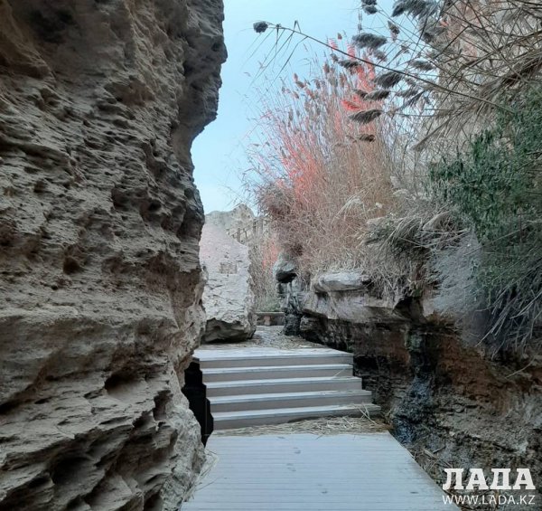 Актаусцев приглашают на экскурсию во благо животных