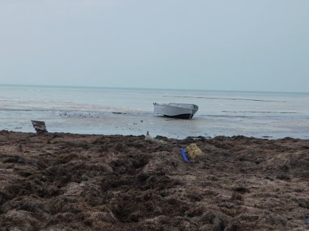 Двух жителей Мангистау задержали с 70 килограммами рыбы осетровых пород