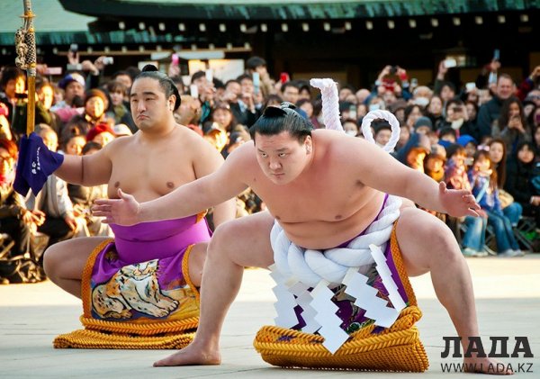 Сумоист из Актау рассказал о жизни в Японии