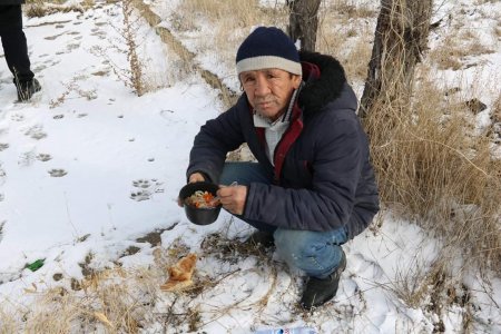 Каждую субботу в Актау будут кормить бездомных людей