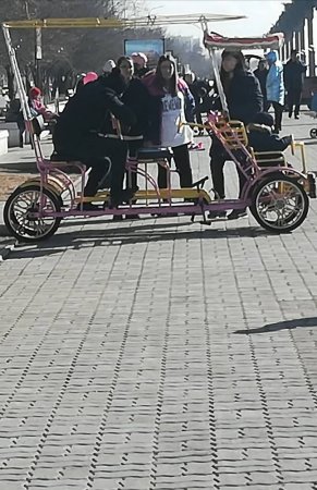 Неподдающиеся