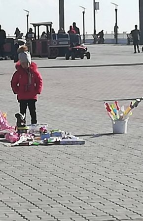 Неподдающиеся